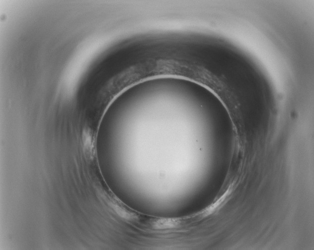 X0000061150142200511211011