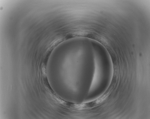 X0000061150143200511211011