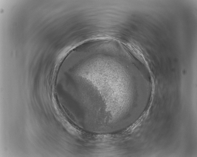 X0000061150145200511211010