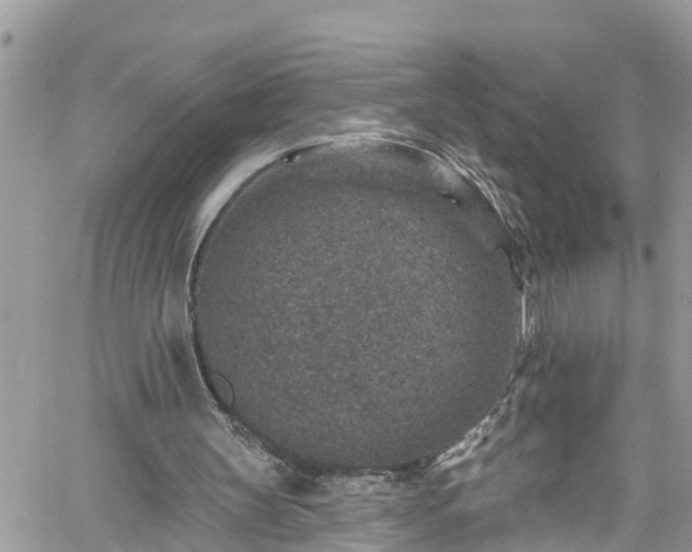 X0000061150147200511211010