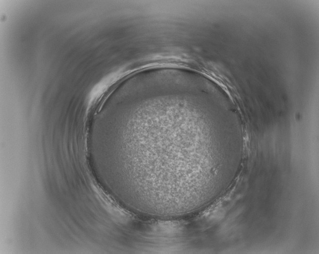 X0000061150149200511211010