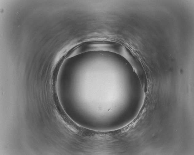 X0000061150150200511211010