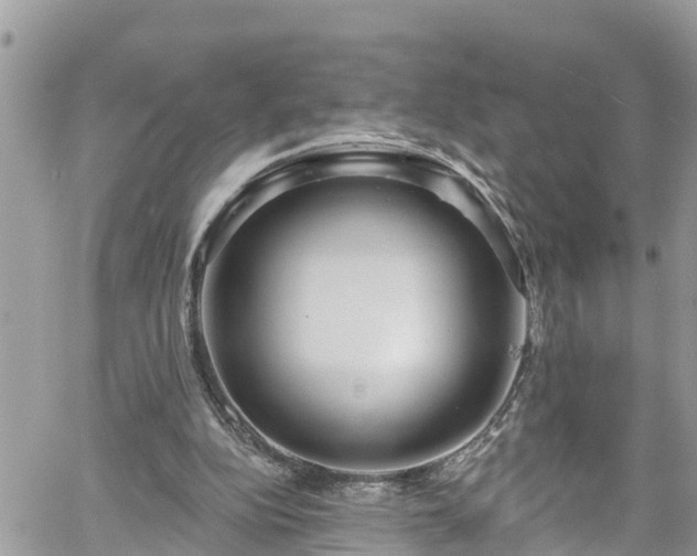 X0000061150152200511211010