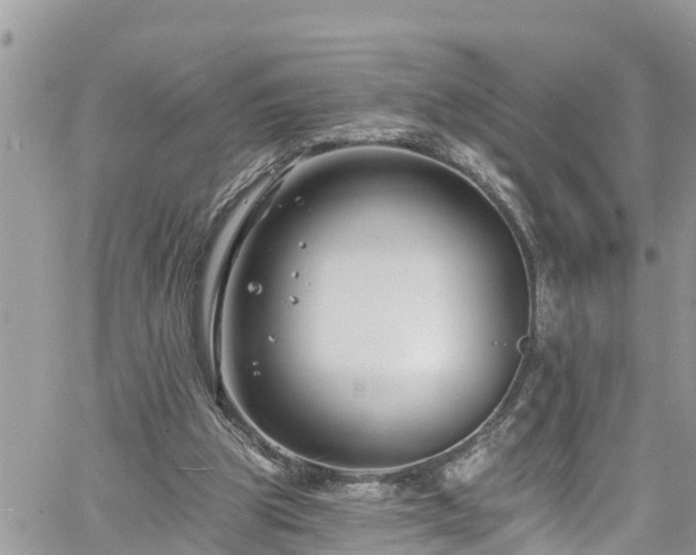 X0000061150153200511211010