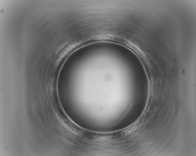 X0000061150155200511211010