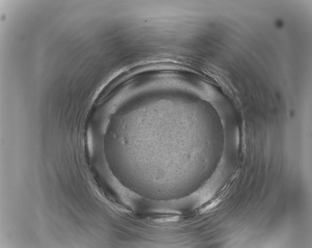 X0000061150156200511211011