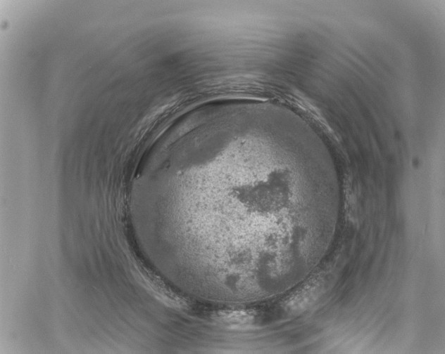 X0000061150161200511211011