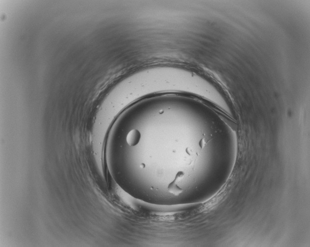 X0000061150162200511211011