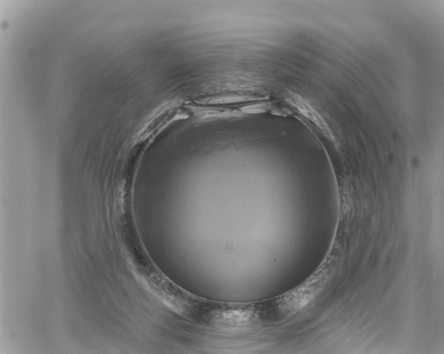 X0000061150163200511211011