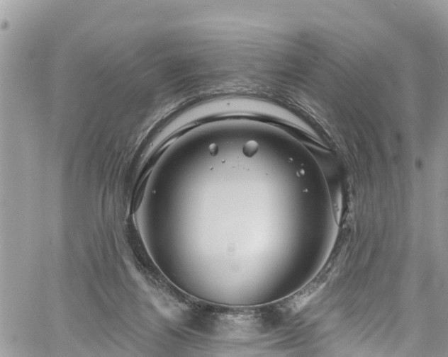 X0000061150164200511211011