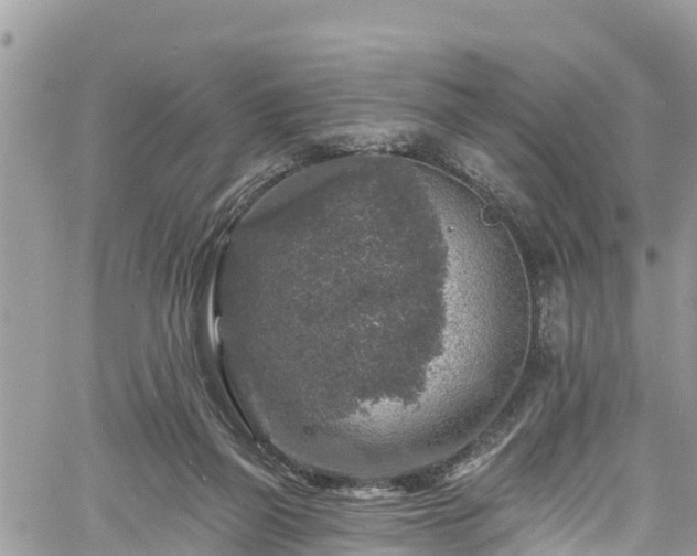 X0000061150165200511211011