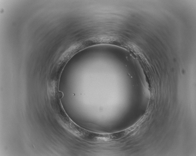 X0000061150167200511211011