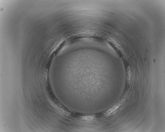 X0000061150168200511211011