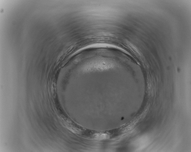 X0000061150169200511211011