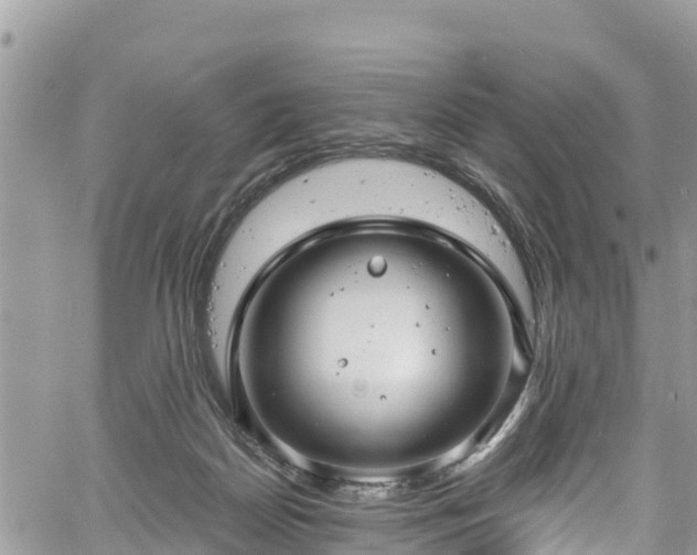 X0000061150170200511211011