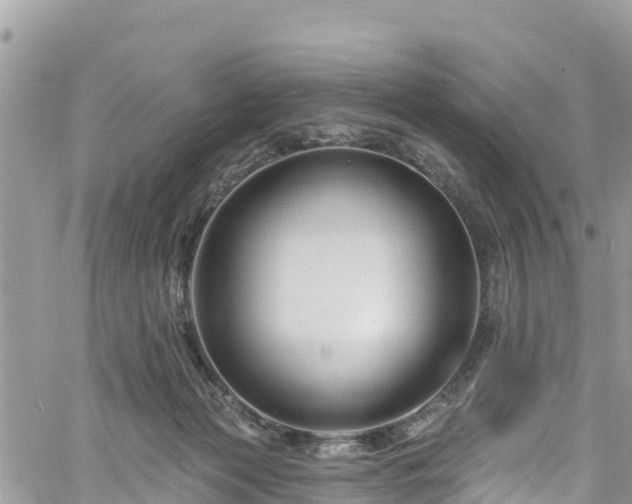 X0000061150173200511211011