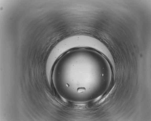 X0000061150175200511211011