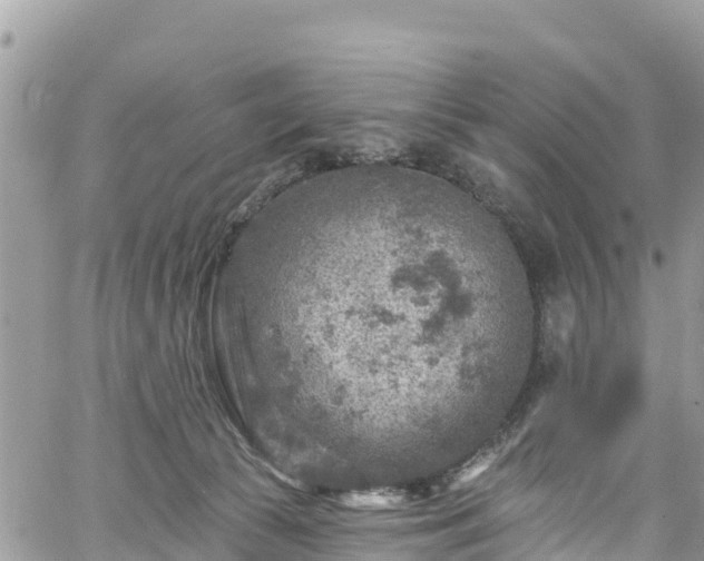 X0000061150177200511211011