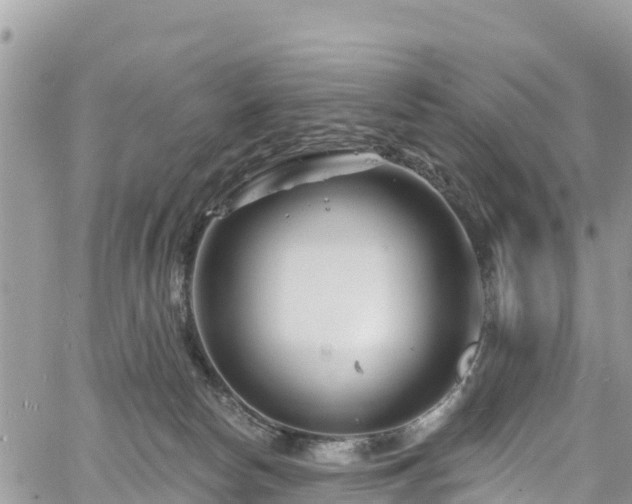 X0000061150178200511211011