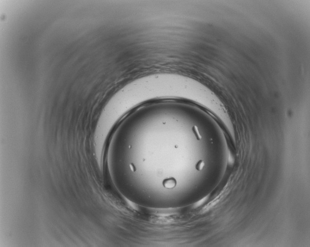 X0000061150180200511211011