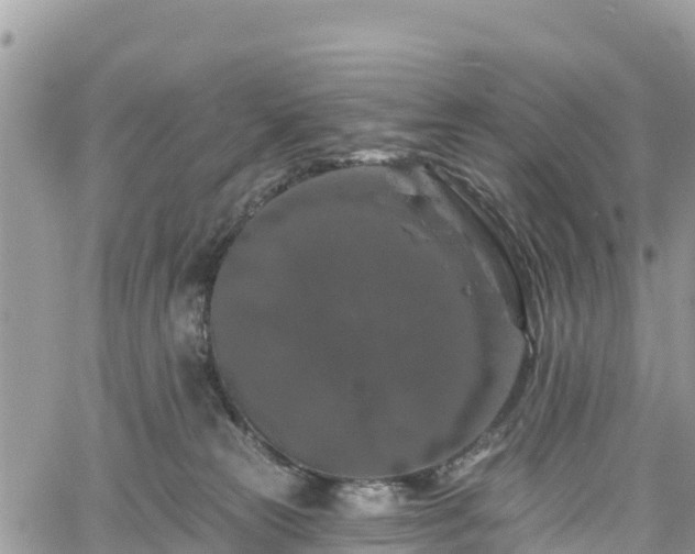 X0000061150181200511211011