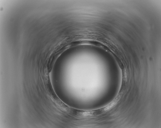 X0000061150184200511211011