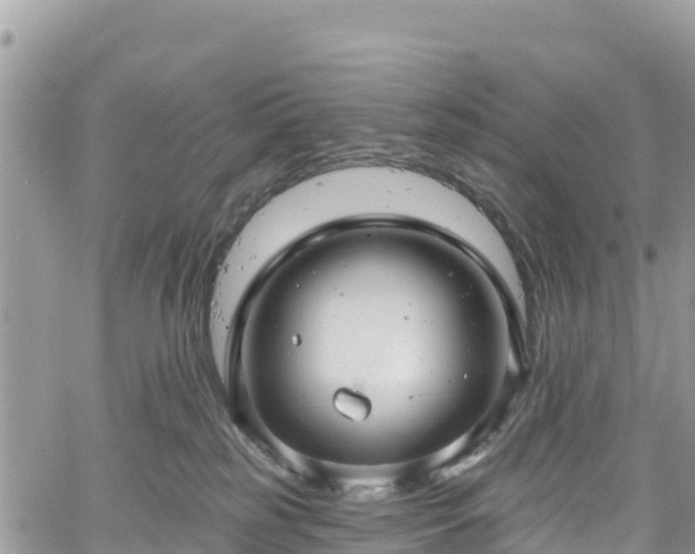 X0000061150185200511211011