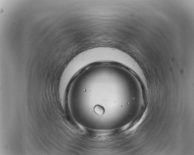 X0000061150186200511211011