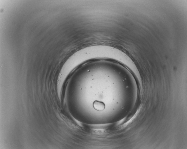 X0000061150187200511211011