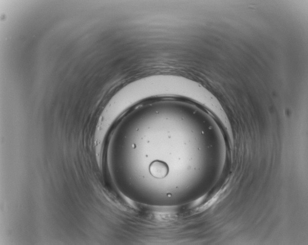 X0000061150188200511211011