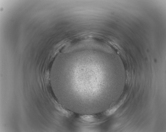 X0000061150189200511211011