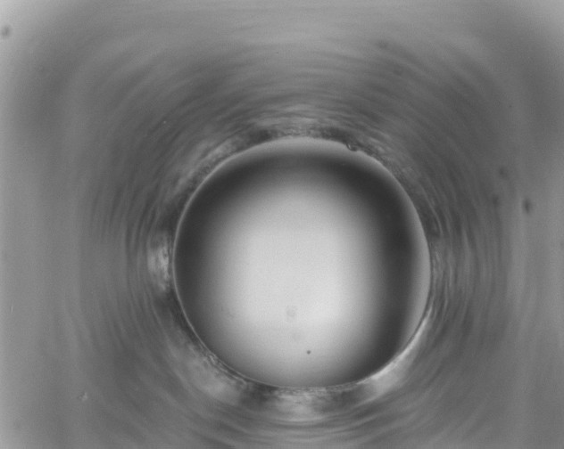 X0000061150190200511211011