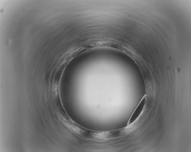 X0000061150191200511211011