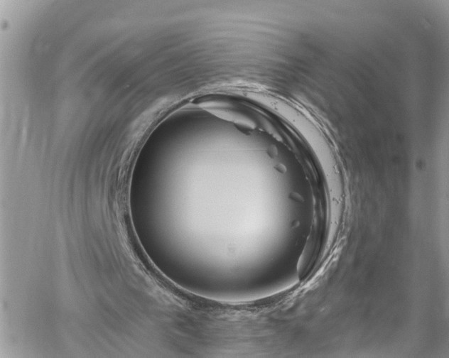 X0000061150193200511211010