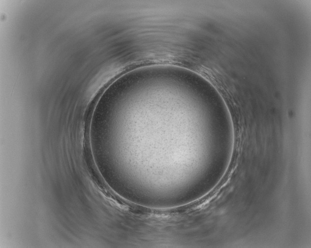 X0000061150194200511211010