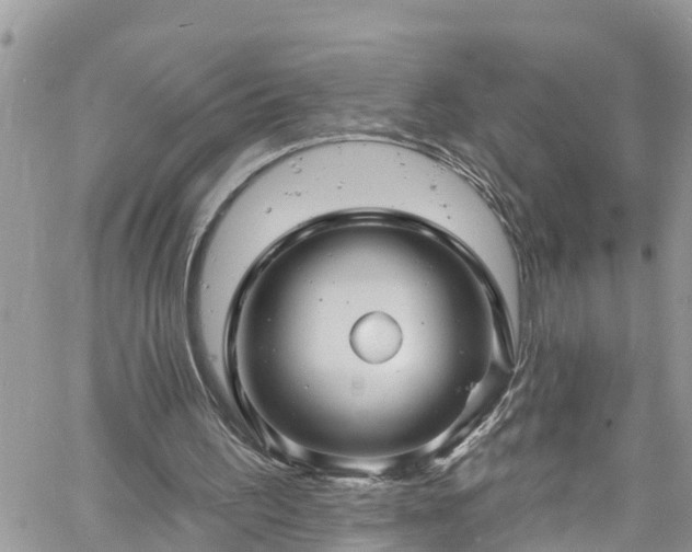 X0000061150195200511211010