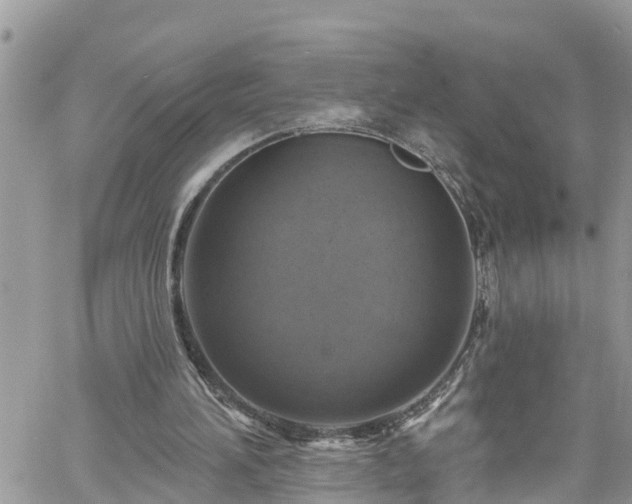 X0000061150196200511211010