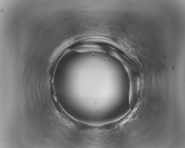 X0000061150197200511211010