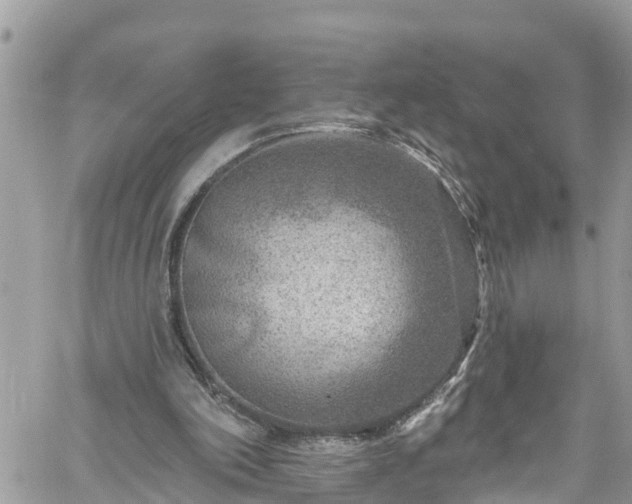 X0000061150198200511211010