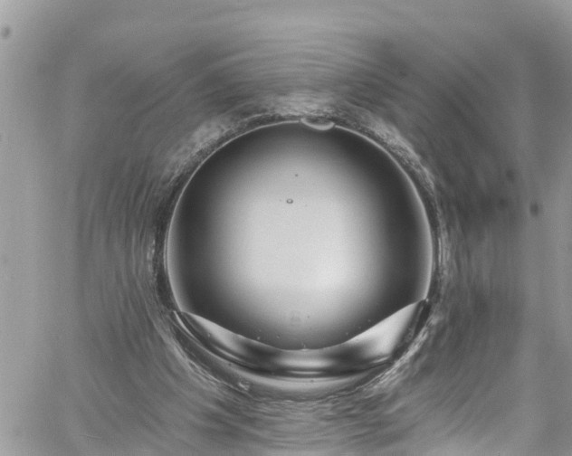 X0000061150201200511211010