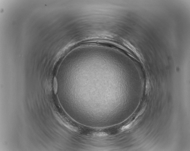 X0000061150203200511211010