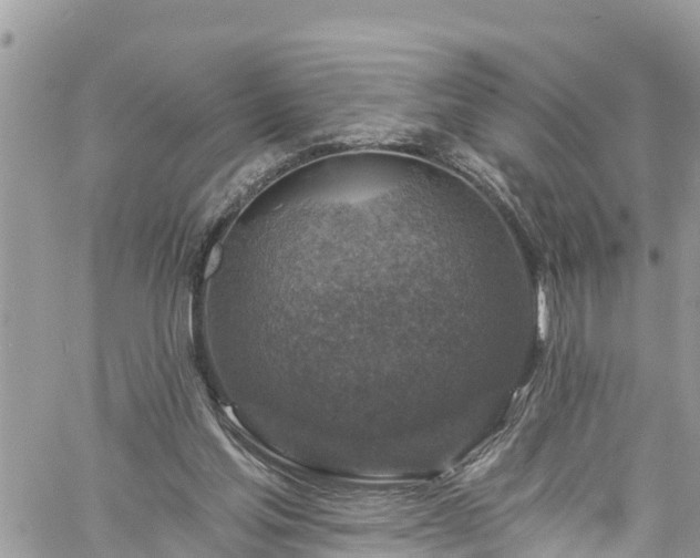 X0000061150205200511211010