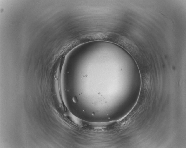 X0000061150206200511211010