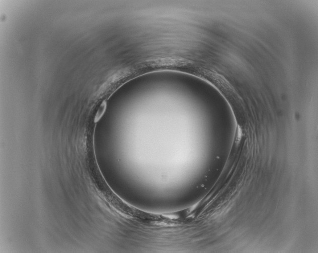 X0000061150207200511211010