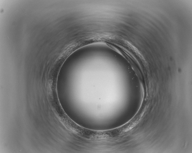 X0000061150209200511211010