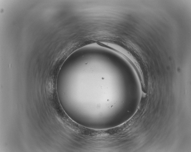 X0000061150210200511211010