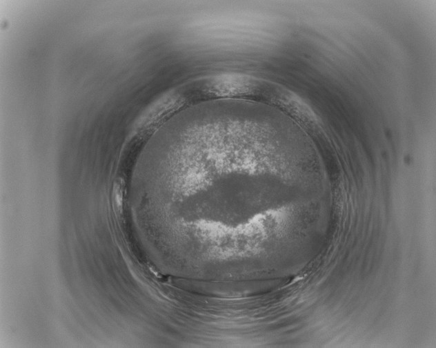 X0000061150214200511211010