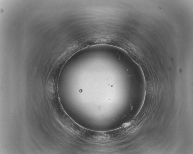 X0000061150215200511211010