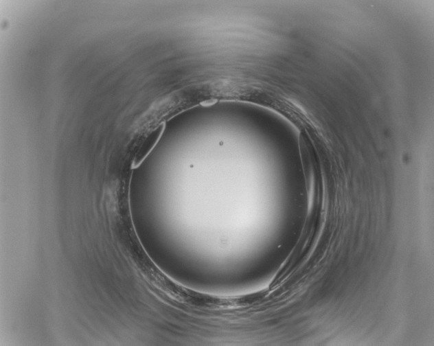 X0000061150217200511211010