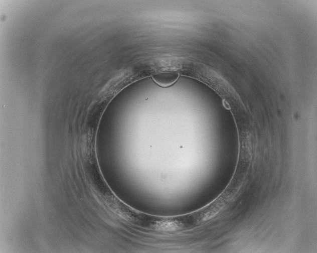 X0000061150218200511211010